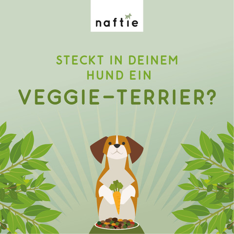 naftie – Bio-Hundefutter