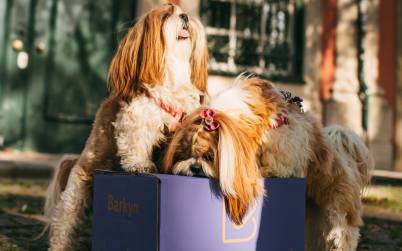 naftie Bio-Hundefutter